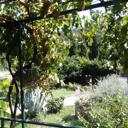 Apartment A Casa Deiva Marina